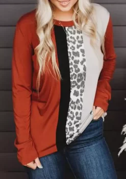 Color Block Leopard Splicing Long Sleeve Blouse