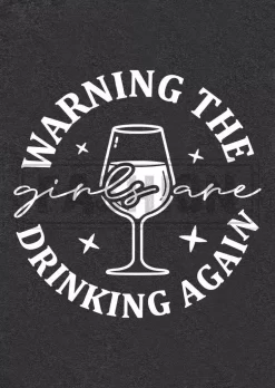 The Girls Are Drinking Again T-Shirt Tee - Dark Grey -Garment Sale Store SCM018218 1 63096369999881 124