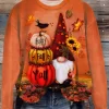 Happy Fall Y'all Pumpkin Gnome Sweatshirt - Orange -Garment Sale Store SCM020792 1 92667821696279 124